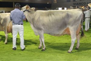 151128SC15 349_Abt 8 Rang 8 Rohrhofs Pijt CORIN von Imfeld Armin OW